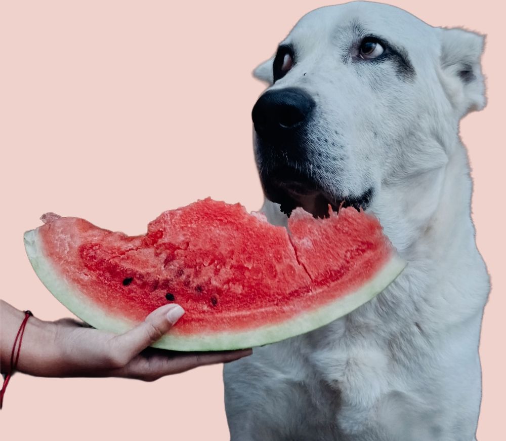 Photograph by Курчина Вероника