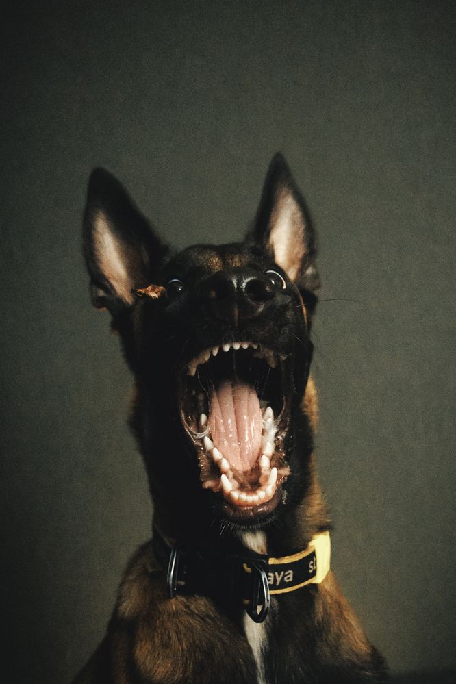 Photograph by Мария Романова