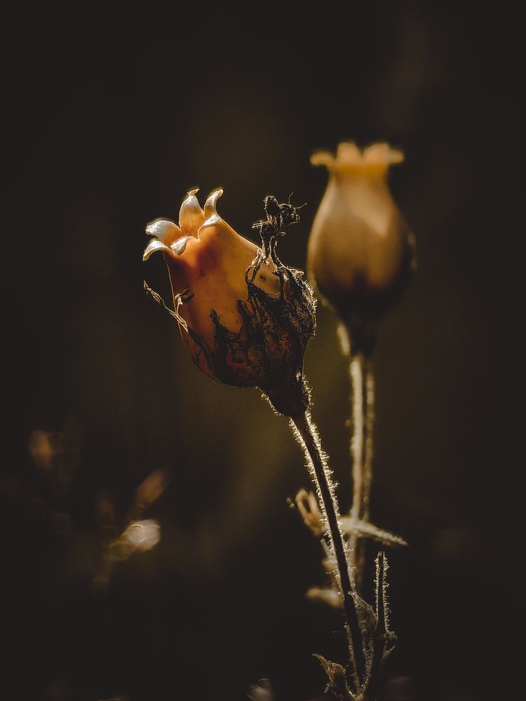 Photograph by Татьяна Котова