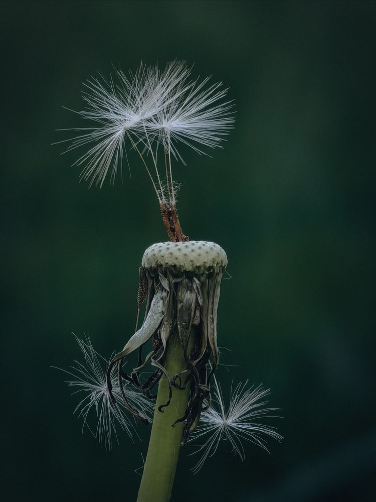 Photograph by Татьяна Котова