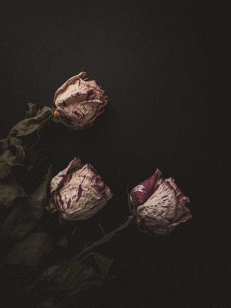Photograph by Ольга Головизина