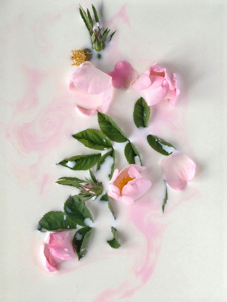 Photograph by Татьяна Котова