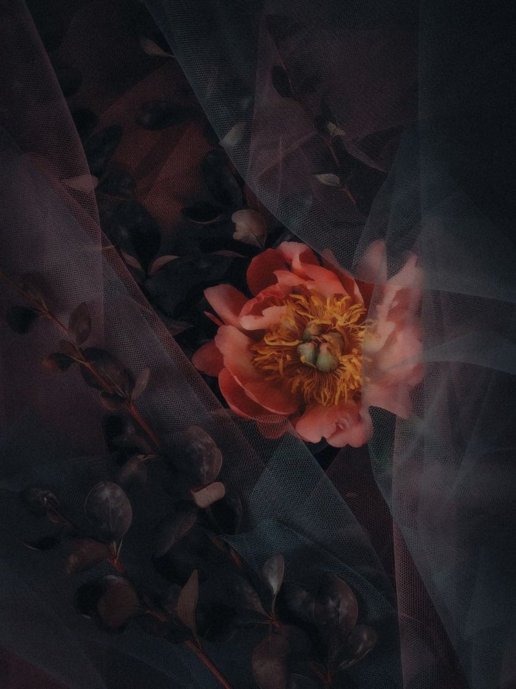 Photograph by Татьяна Котова