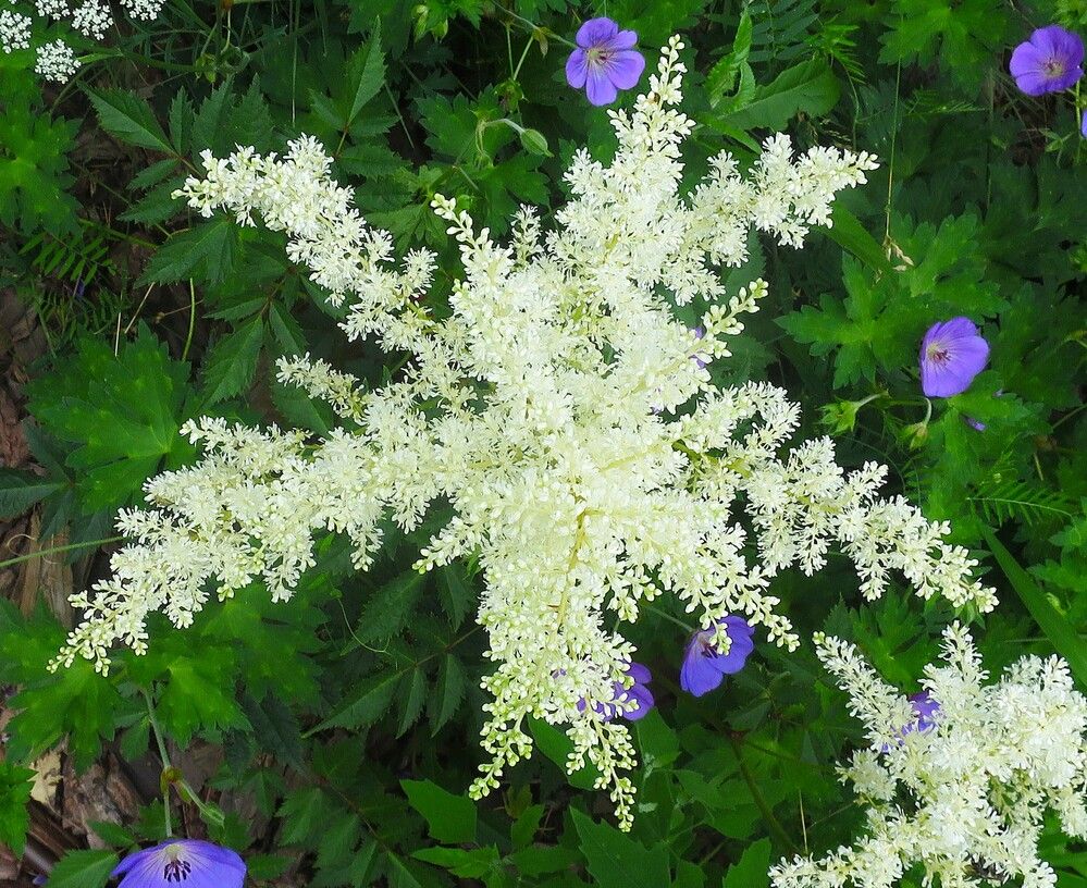 Photograph by Николай Горбачёв