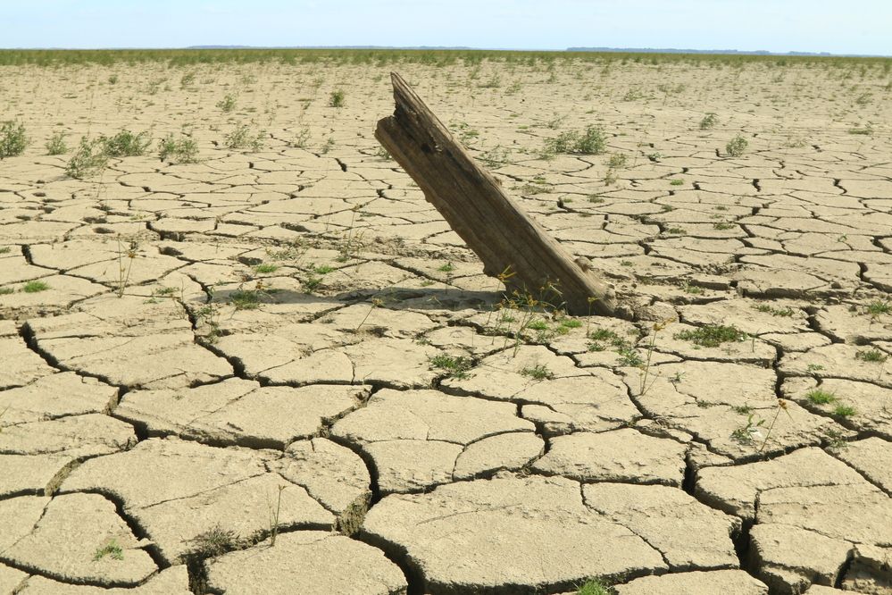 Photograph by Сергей Кульков