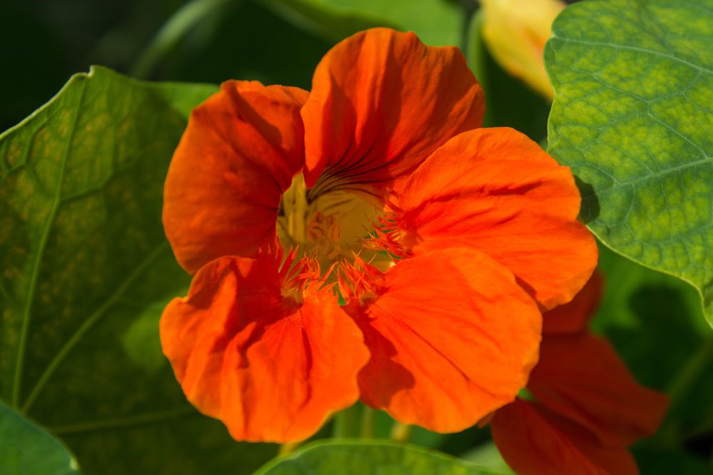 Фотография автора Дарья Рогозина