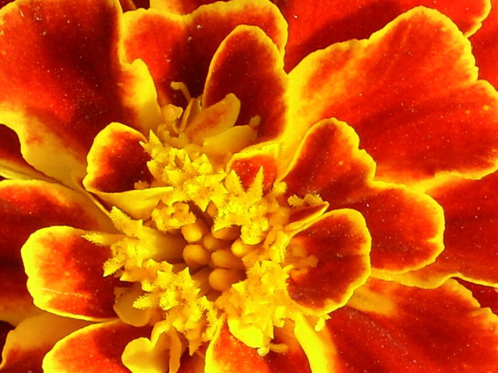 Photograph by Ольга Захарова