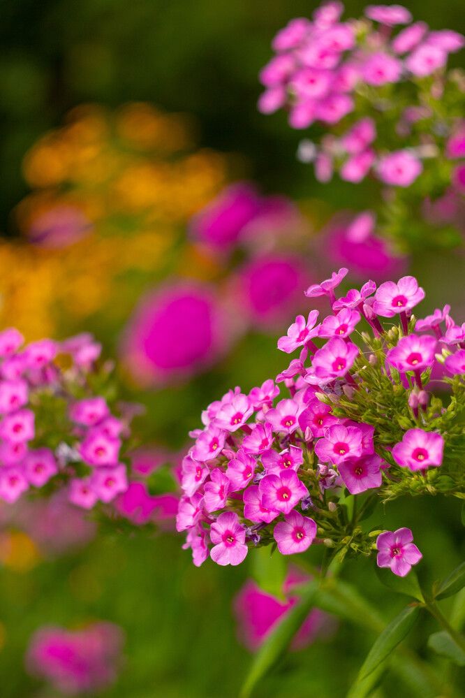 Photograph by Ольга Захарова