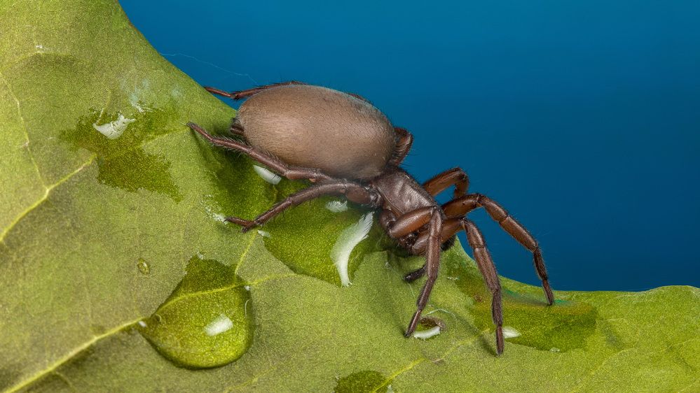 Photograph by Андрей Кривов