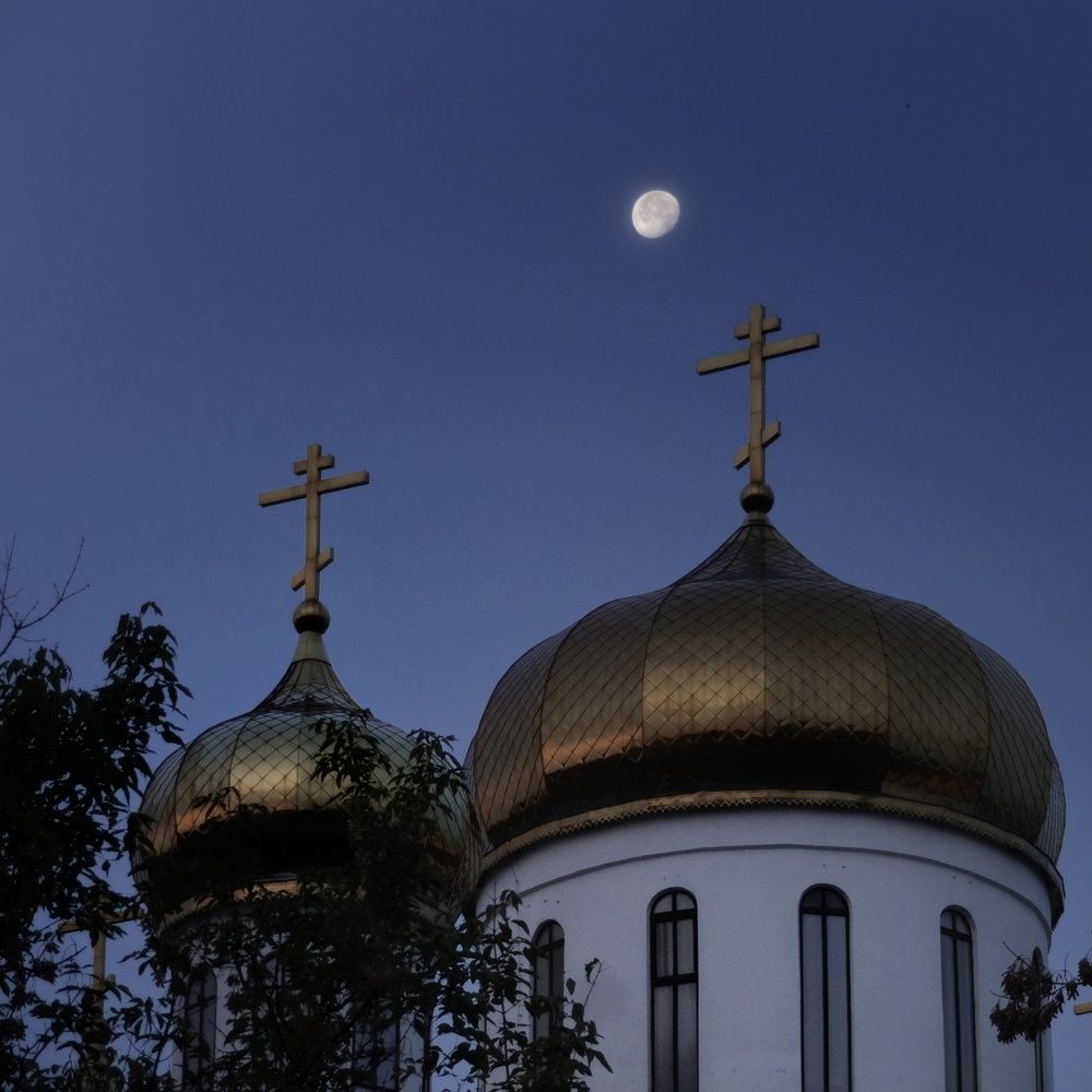 Фотография автора Геннадий Ломеко