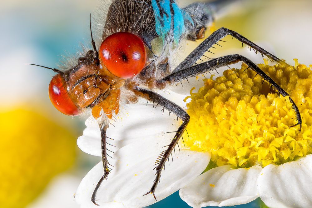 Photograph by Андрей Кривов