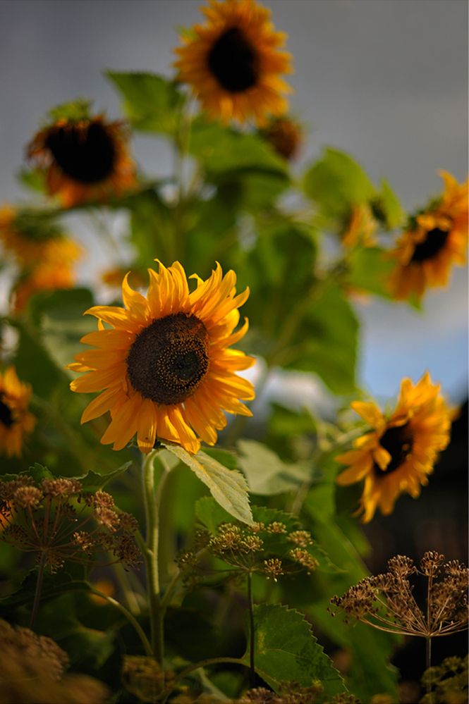 Photograph by Березкин Виктор