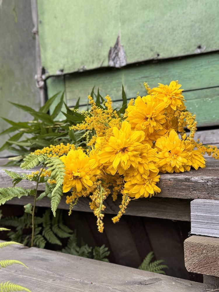 Цвет солнца