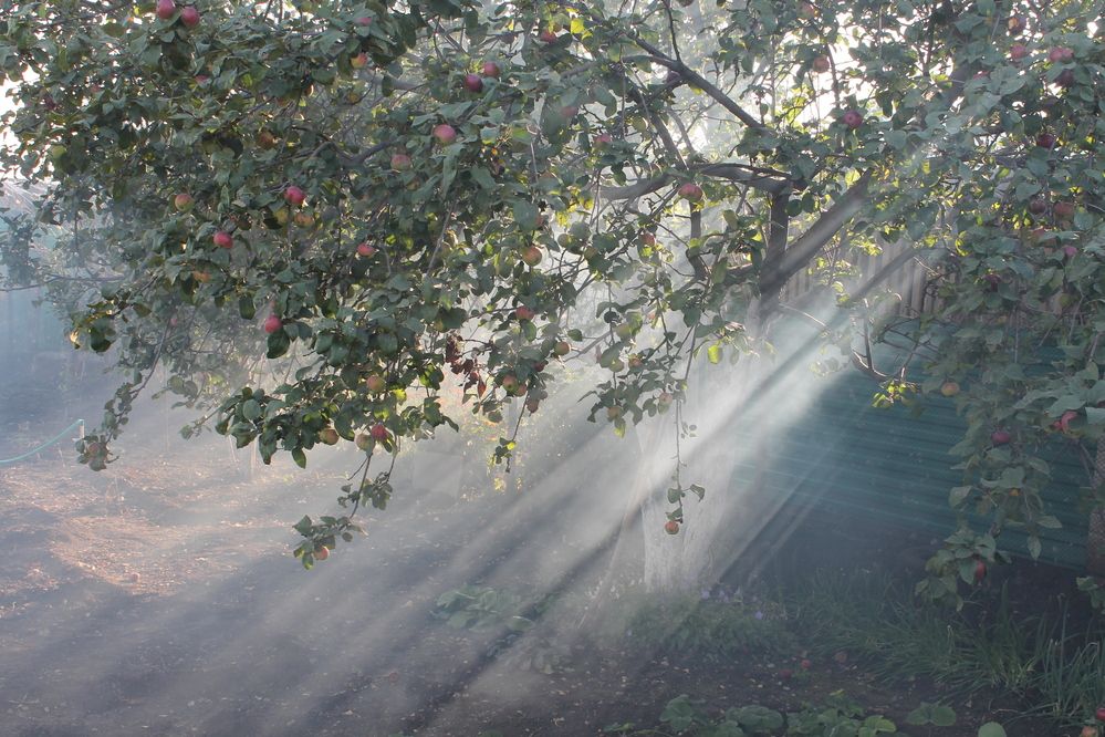 Фотография автора Дарья Рогозина