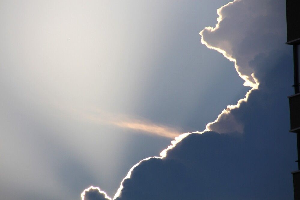 Photograph by Николай Горбачёв