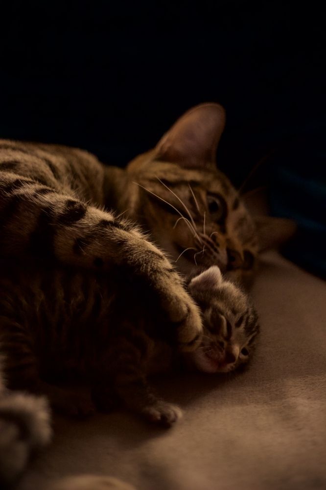 Фотография автора Сергей Борзов