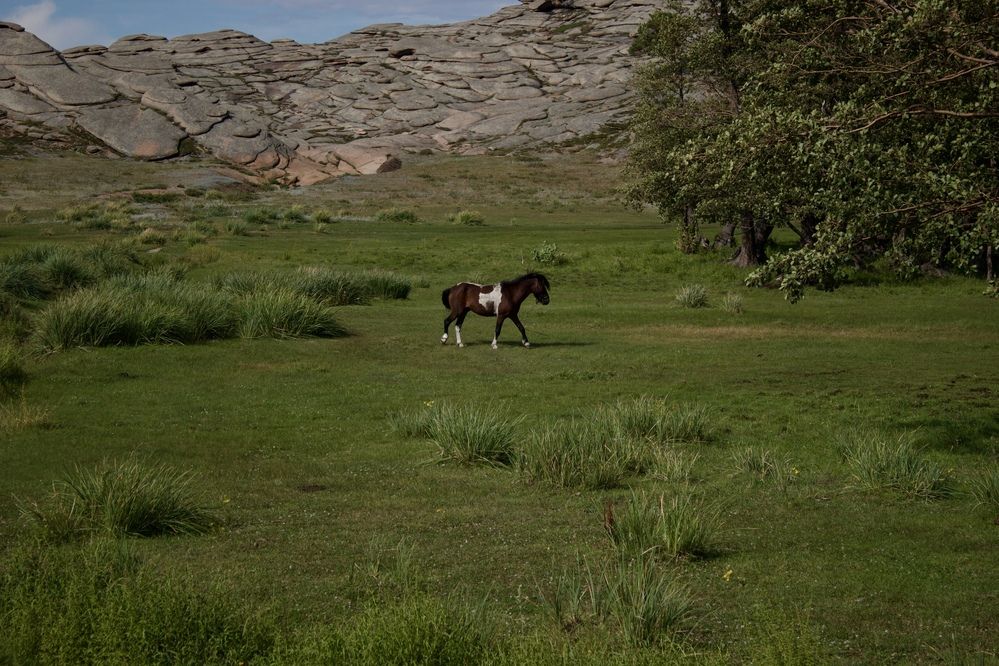 Фотография автора Сергей Борзов