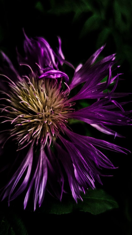 Photograph by Елена Глинская