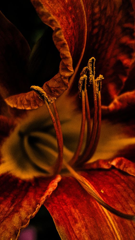 Photograph by Елена Глинская