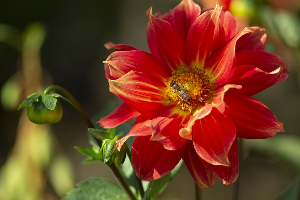 Photograph by Дина Железнова