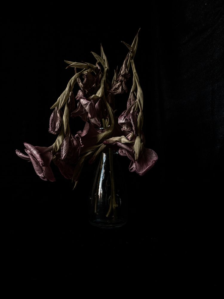 Фотография автора Ирина Романовская