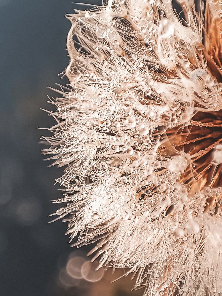 Фотография автора Ирина Романовская