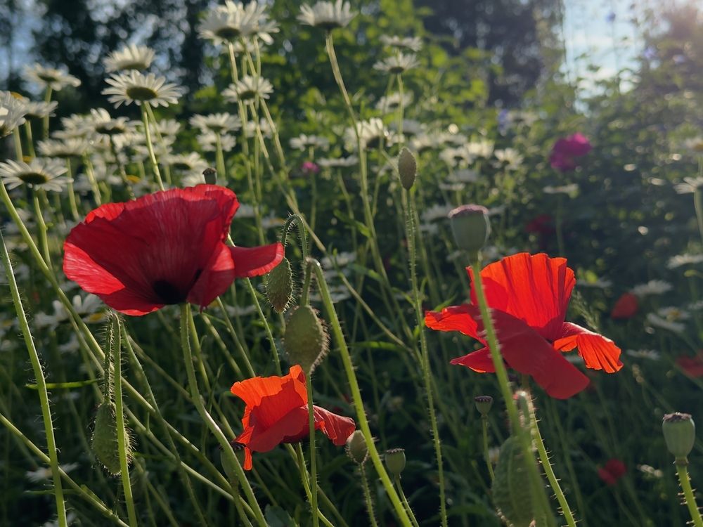 Photograph by Ольга Филатова