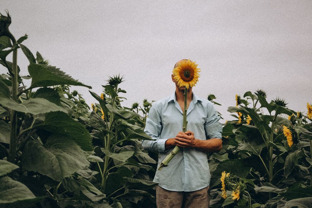 Фотография автора Ирина Романовская