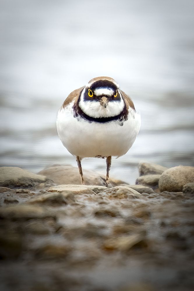 Photograph by Aleksandr Solovev