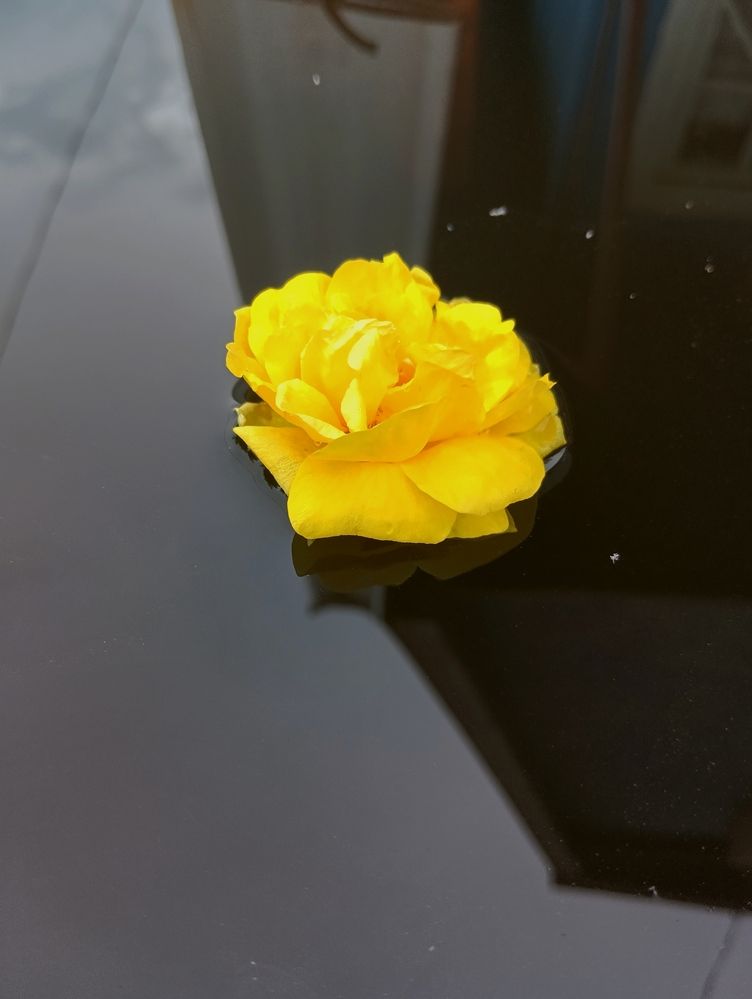 Photograph by Надежда Рудакова