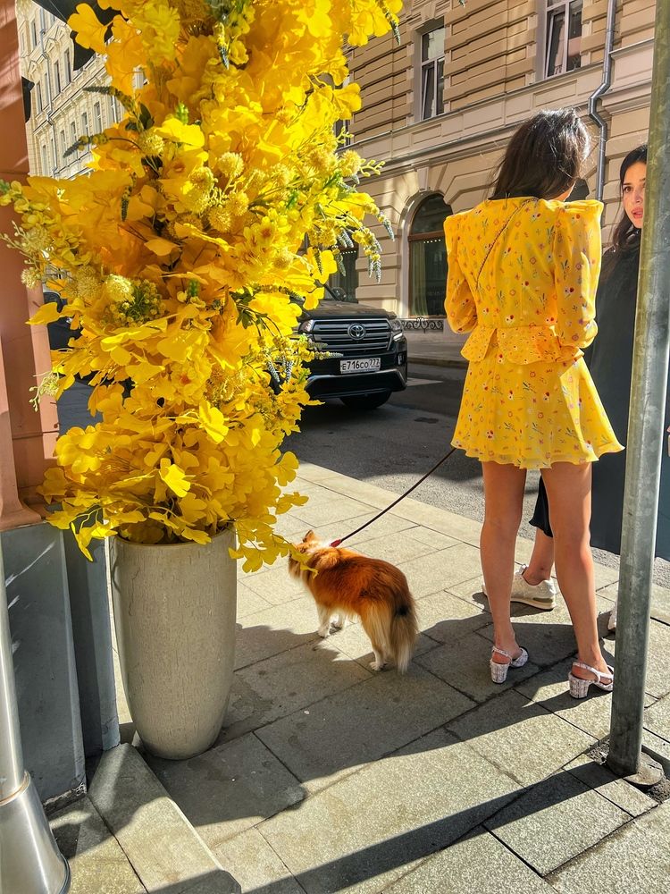 Фотография автора Olga Klyueva