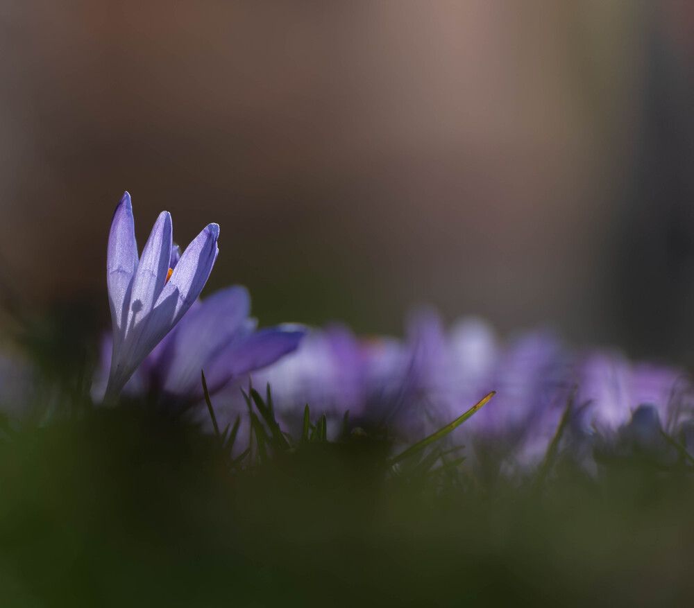 Photograph by Milan Đorđević