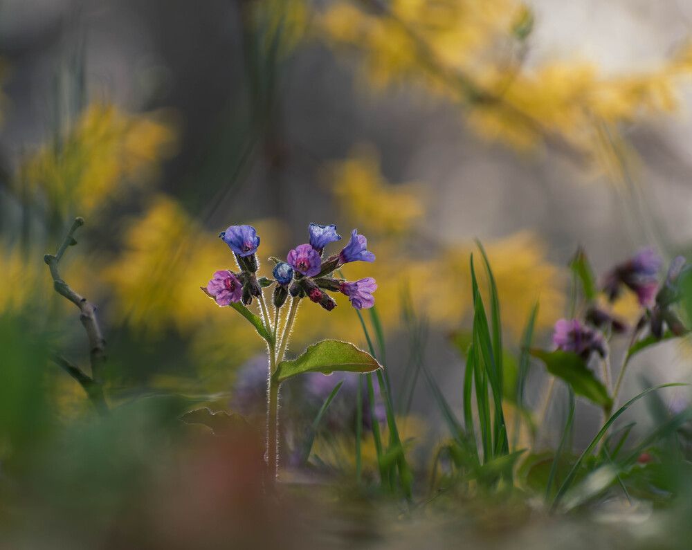 Photograph by Milan Đorđević