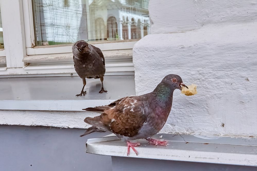 Photograph by Николай Голованов