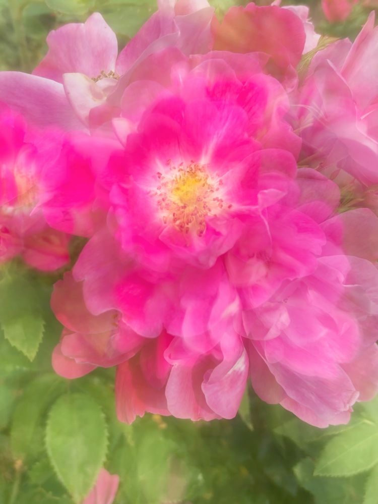 Photograph by Ксения Березкина