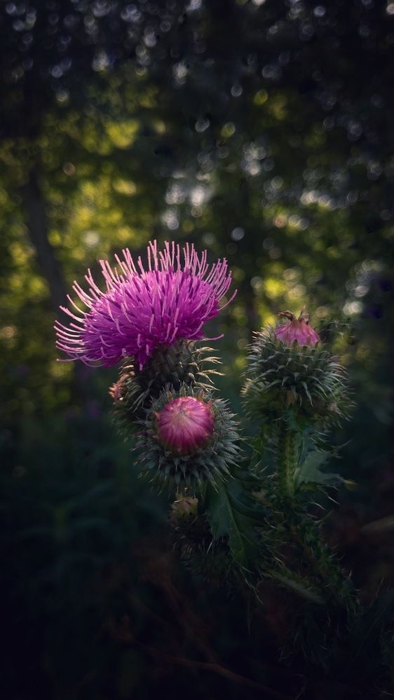 Photograph by Ксения Березкина