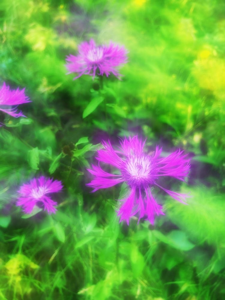 Photograph by Ксения Березкина