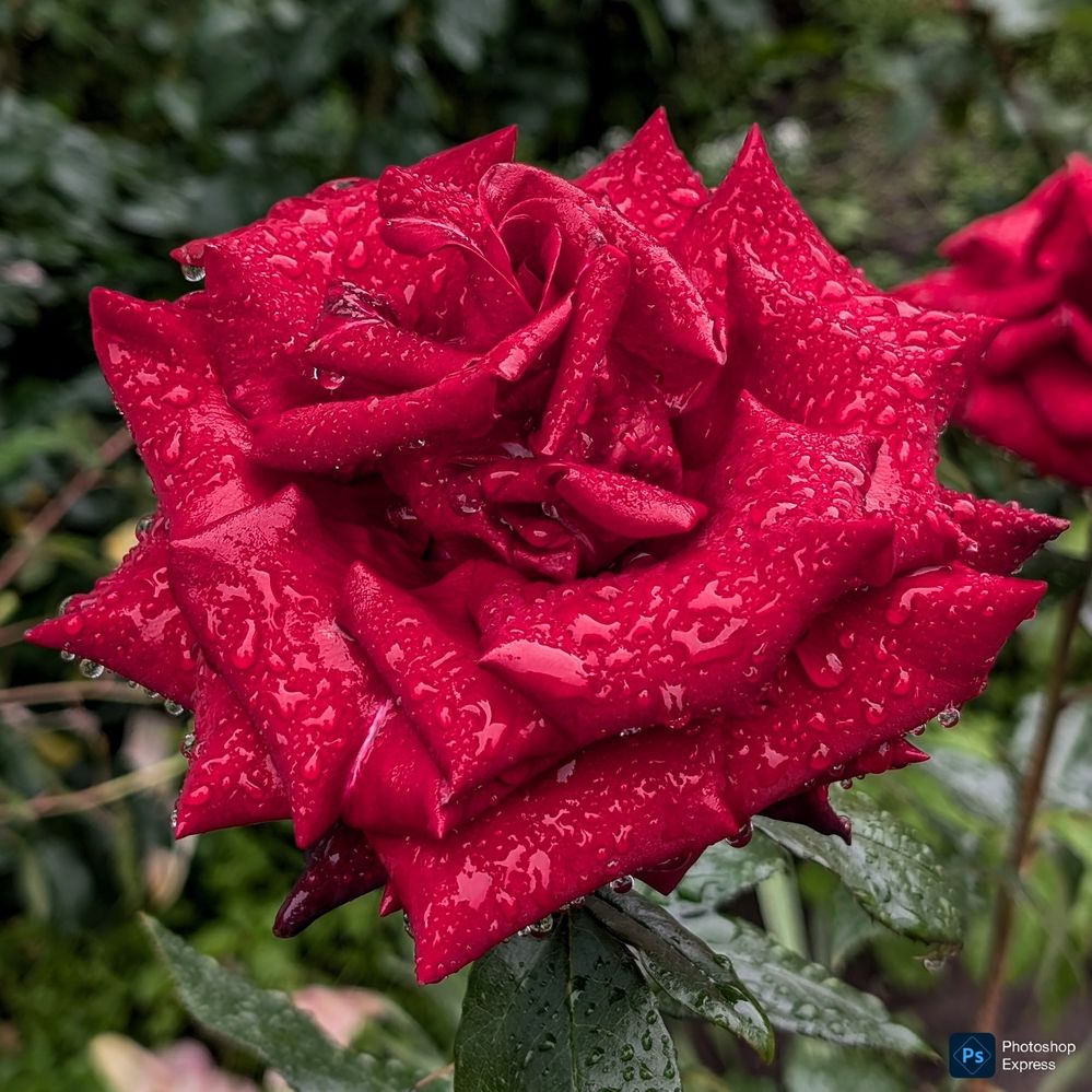 Photograph by Олег Башкуров