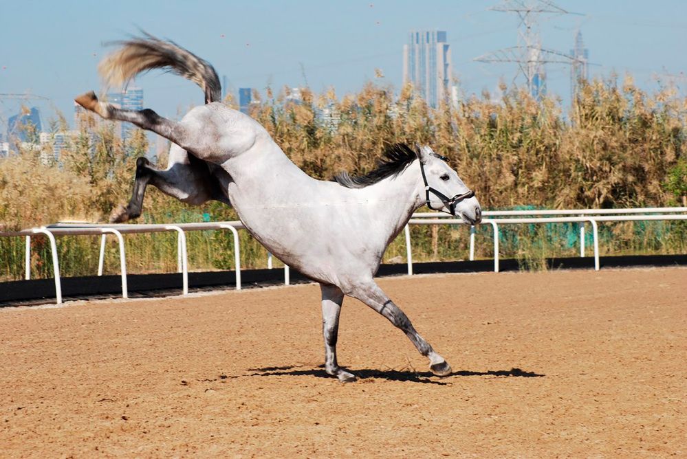Фотография автора Наталья Липовская