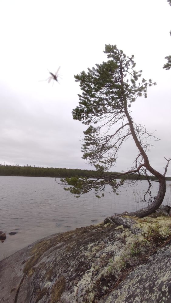 Photograph by Калюнова Наталья