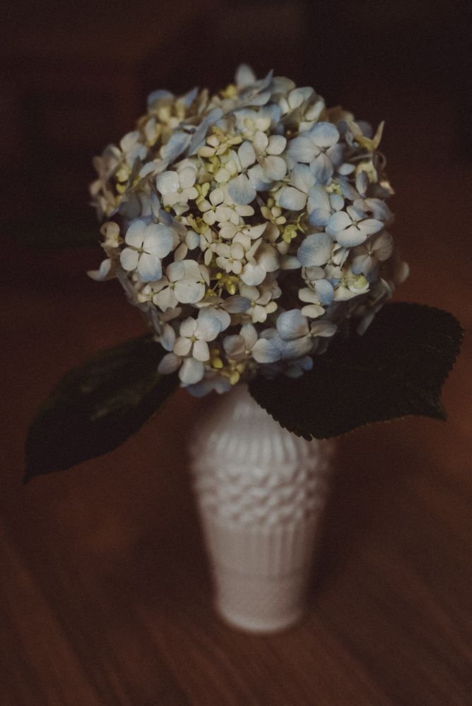 Photograph by Татьяна Стружкина
