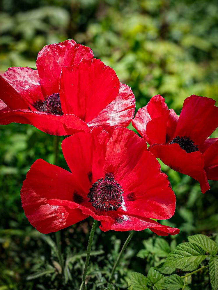 Photograph by Ксения Мельникова