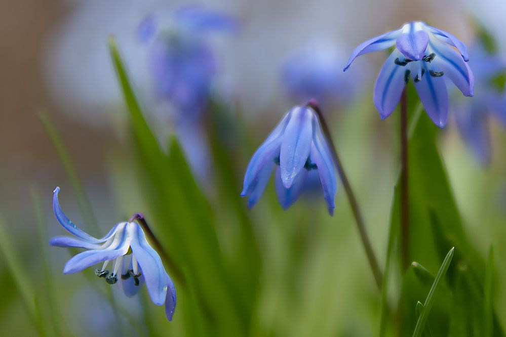 Photograph by Светлана Сипрова