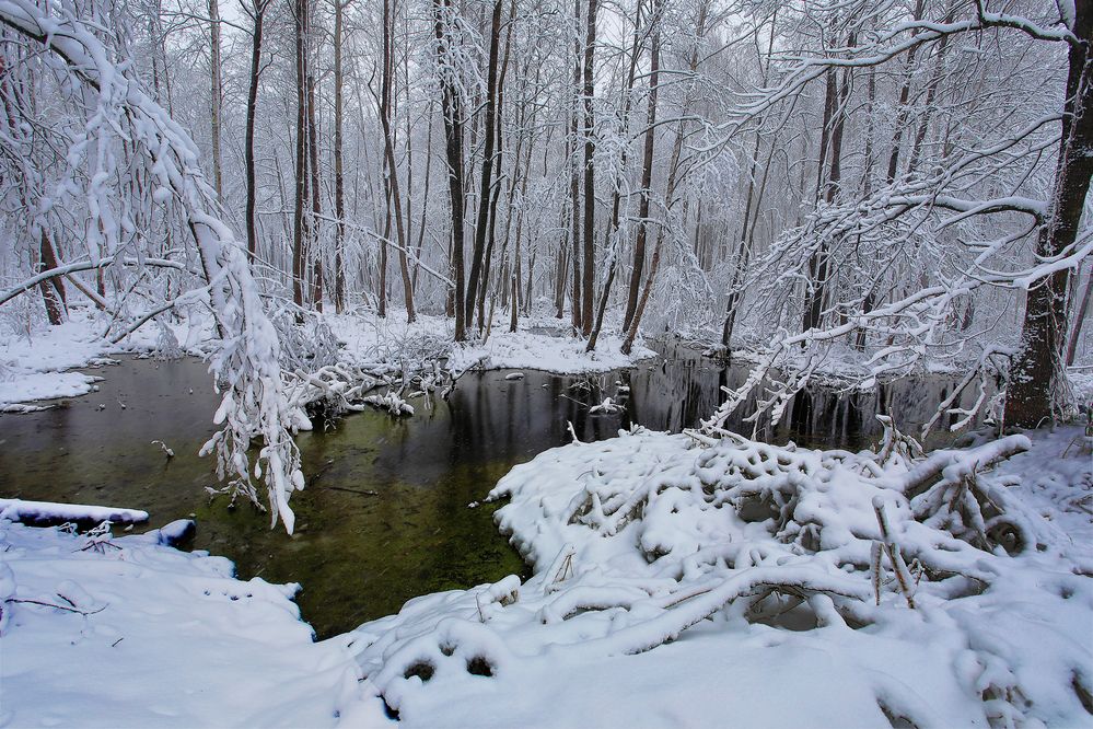 Зимний этюд.