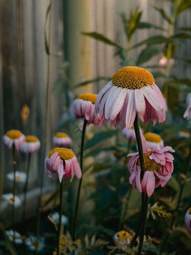 Photograph by Анастасия