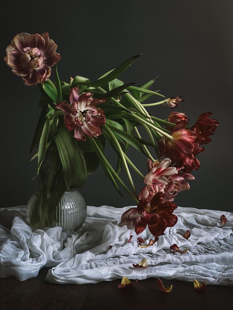 Photograph by Анастасия