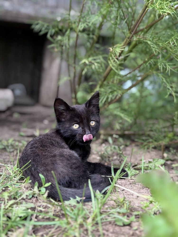 Photograph by Ольга Филатова