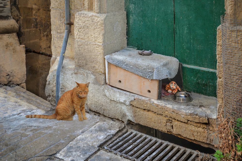 Photograph by Марина Ческис