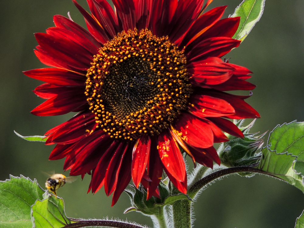 Photograph by Наталья Балабанова