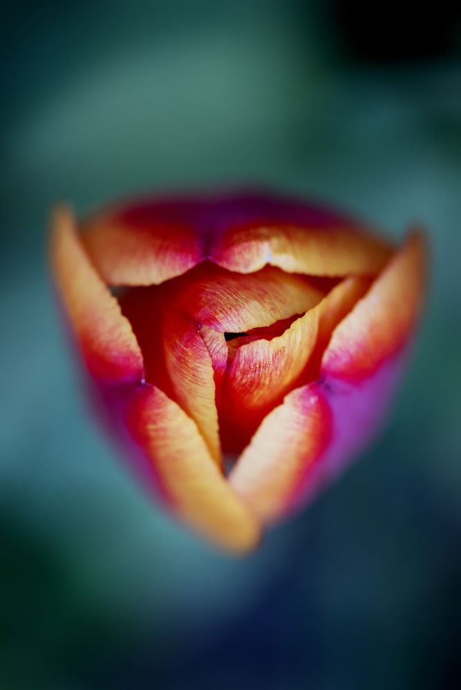 Фотография автора Krisztina Kaposvari